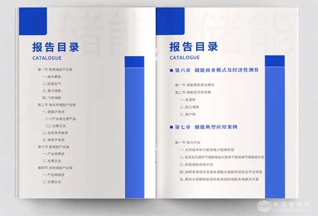 儲能產(chǎn)業(yè)發(fā)展及商業(yè)模式（2025）
