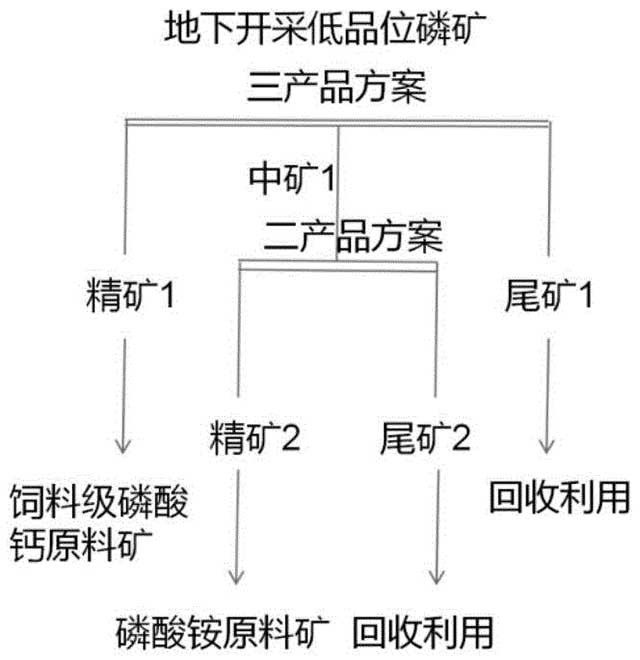 基于光電選礦預分選地下開采低品位磷礦的系統(tǒng)及其方法